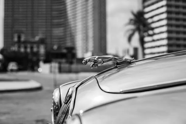 20벳츠 카지노 안드로이드/iOS 앱